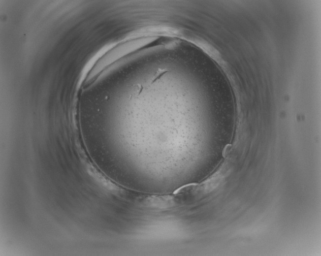 X0000074230912200609011238