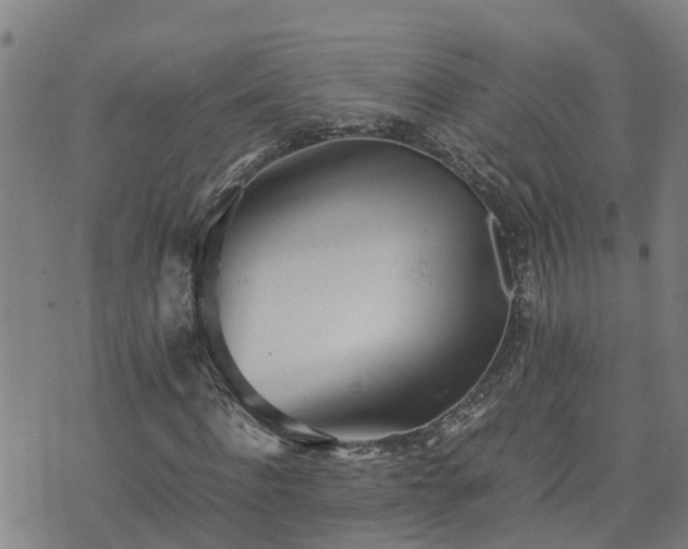 X0000074230916200609011238