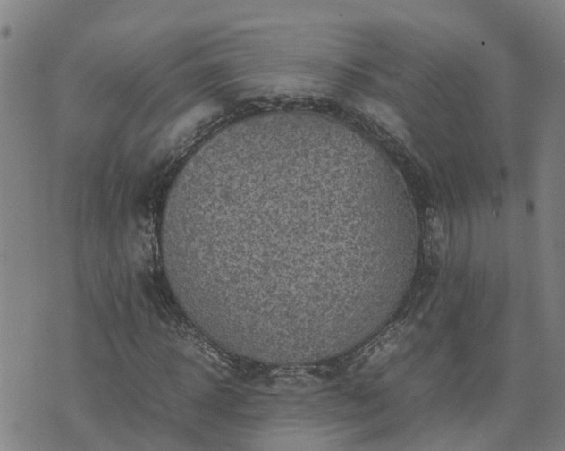 X0000074230918200609011238