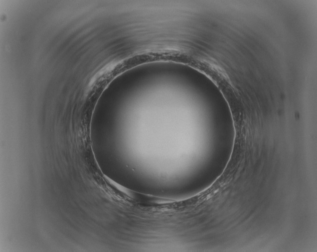 X0000074230920200609011238