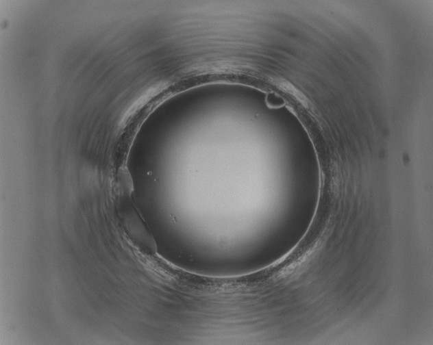 X0000074230922200609011238