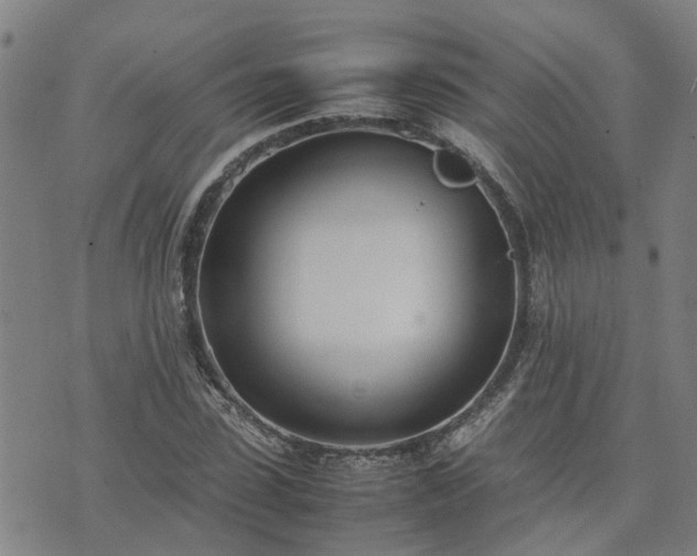 X0000074230923200609011238