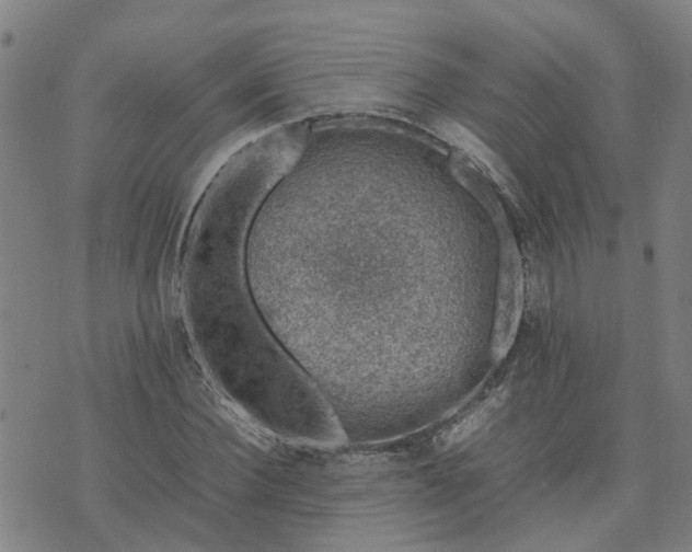 X0000074230924200609011238