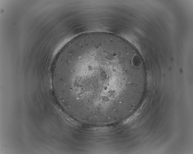 X0000074230925200609011238