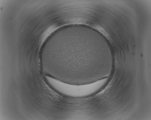 X0000074230926200609011238