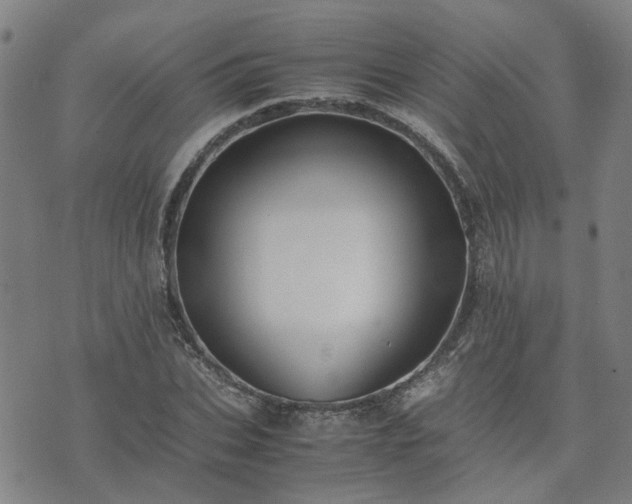 X0000074230927200609011238