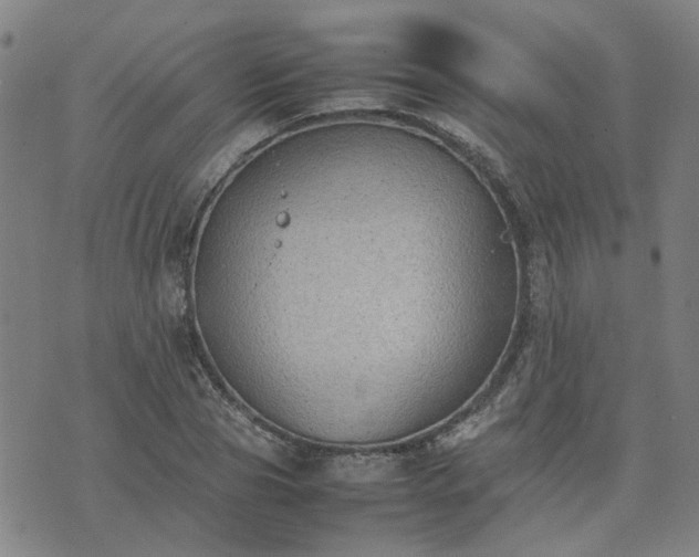 X0000074230929200609011238