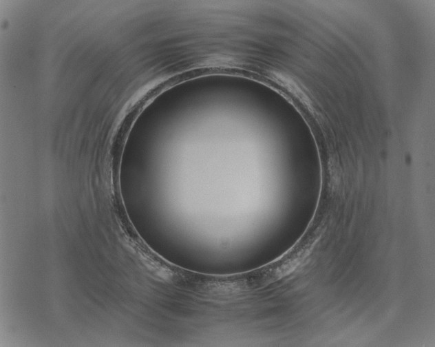 X0000074230931200609011238