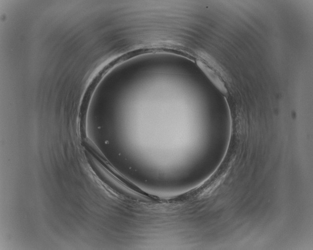 X0000074230932200609011238