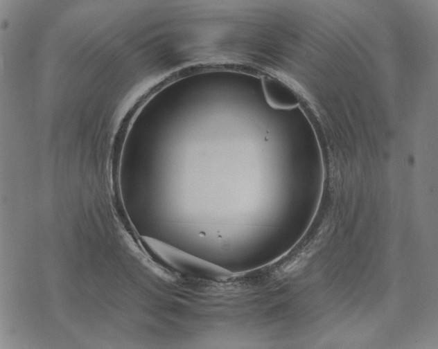 X0000074230935200609011238