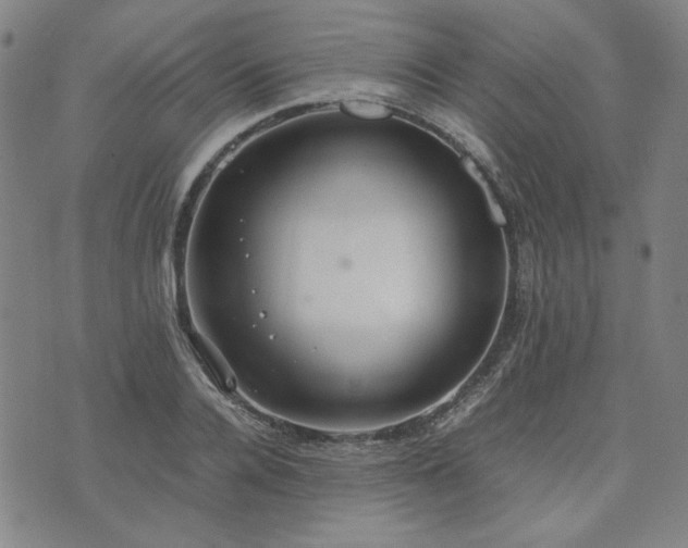 X0000074230936200609011238