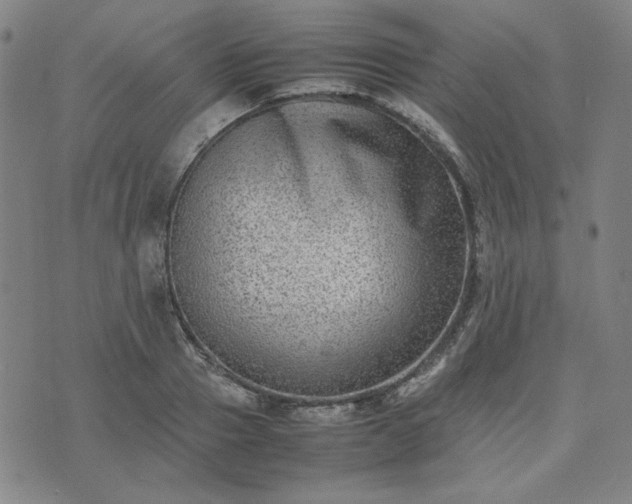 X0000074230937200609011238