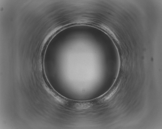 X0000074230939200609011238