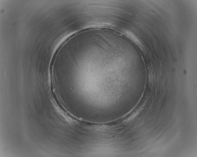 X0000074230940200609011238