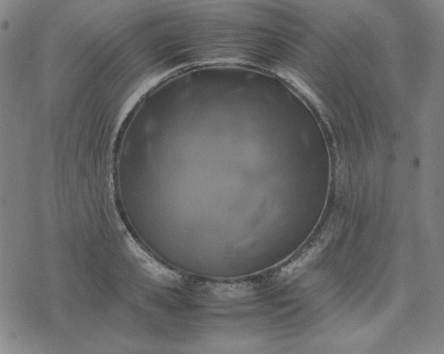 X0000074230941200609011238