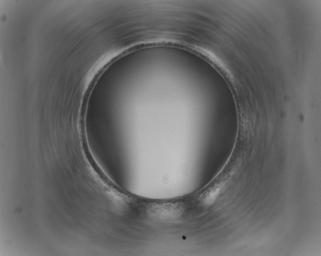 X0000074230943200609011238