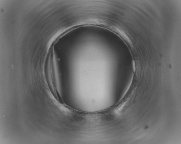 X0000074230944200609011238