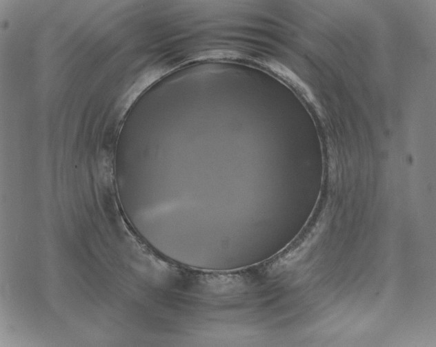 X0000074230945200609011238