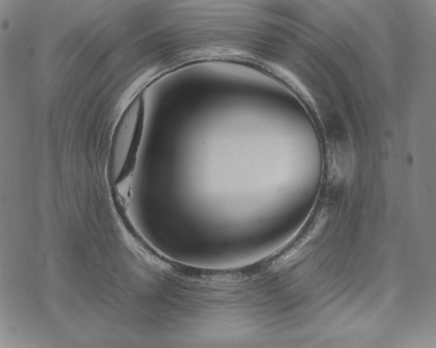 X0000074230946200609011238