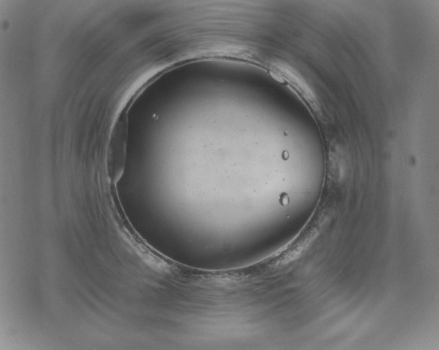 X0000074230948200609011238