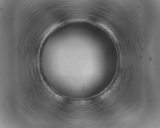 X0000074230949200609011238