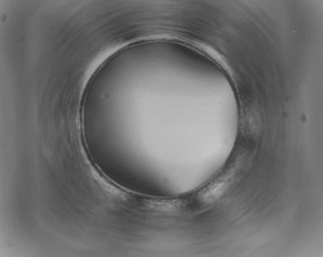 X0000074230951200609011238