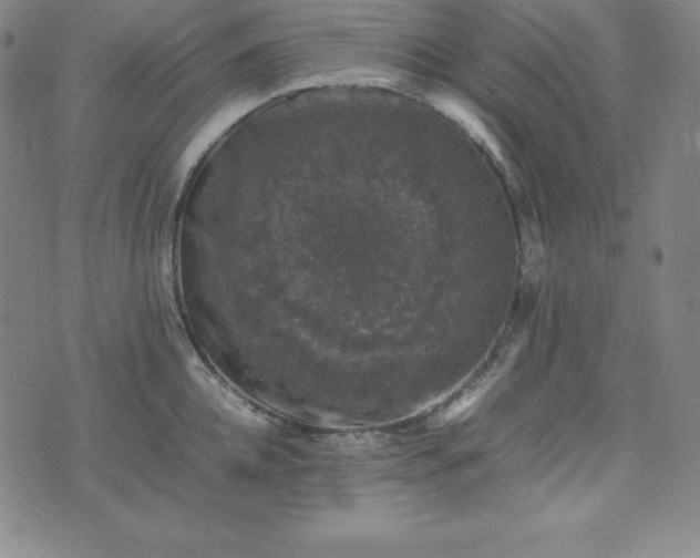 X0000074230952200609011238