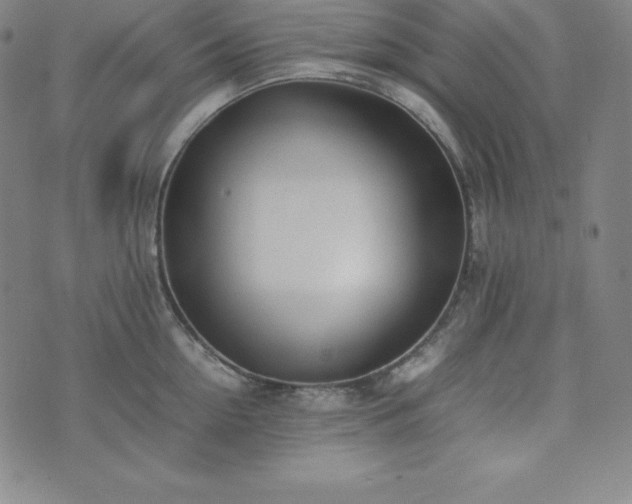 X0000074230954200609011238