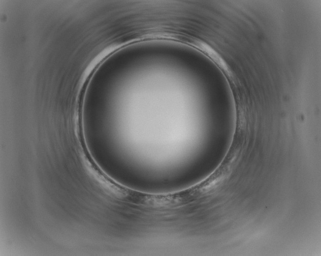 X0000074230955200609011238