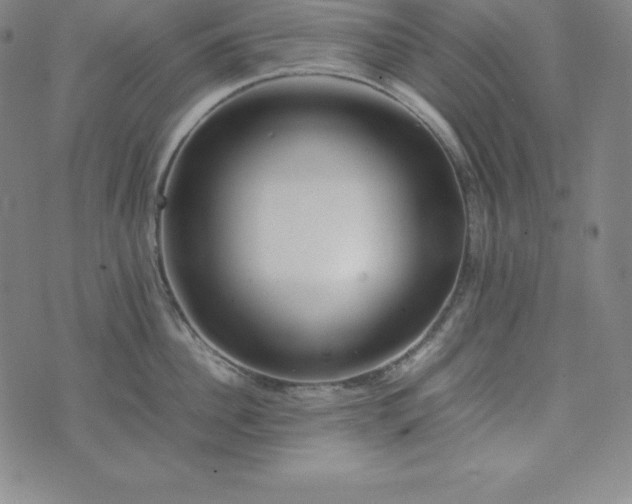 X0000074230956200609011238