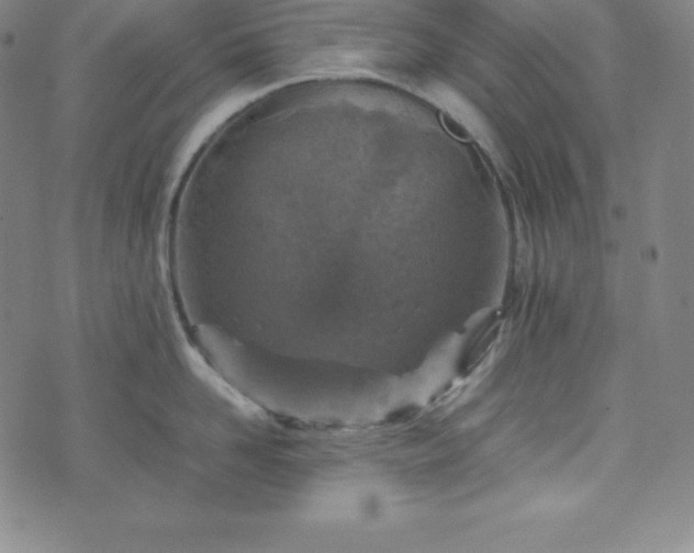 X0000074230958200609011238