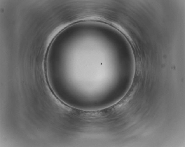 X0000074230959200609011238