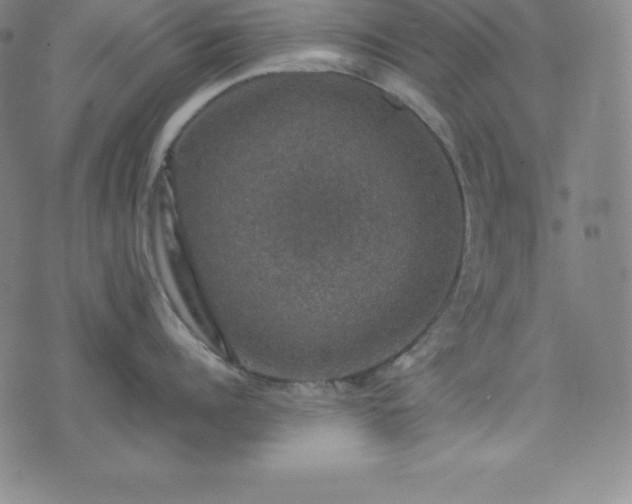 X0000074230960200609011238