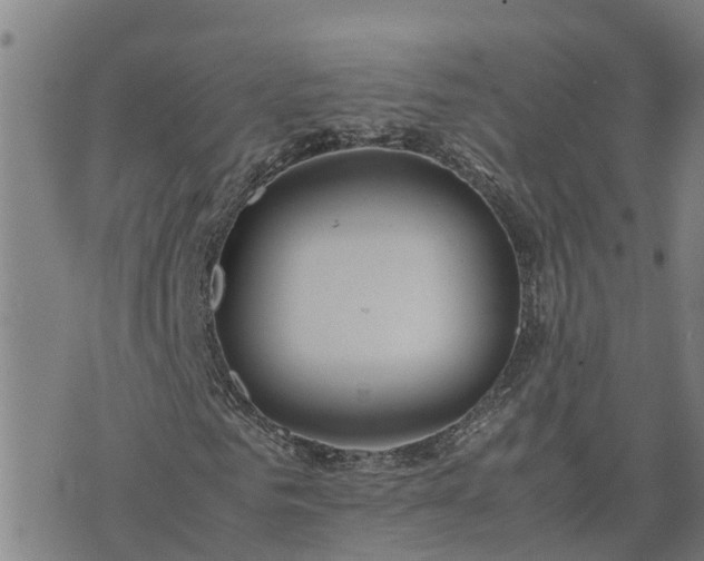 X0000074230961200609011238