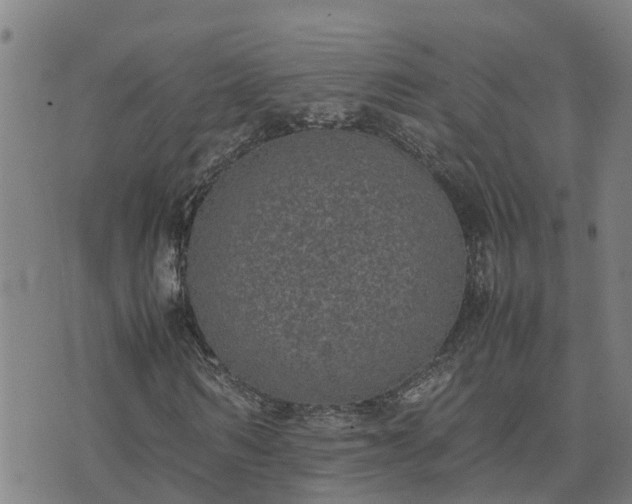 X0000074230962200609011238