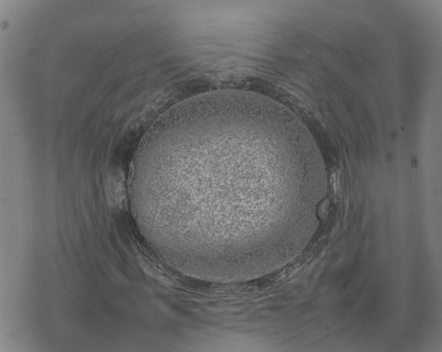 X0000074230963200609011238