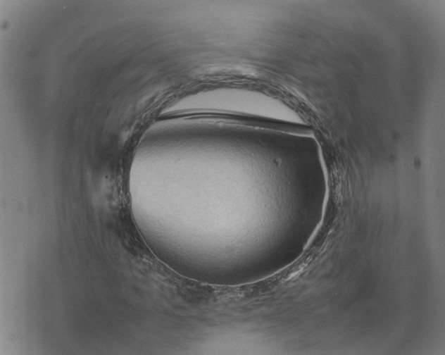 X0000074230965200609011238