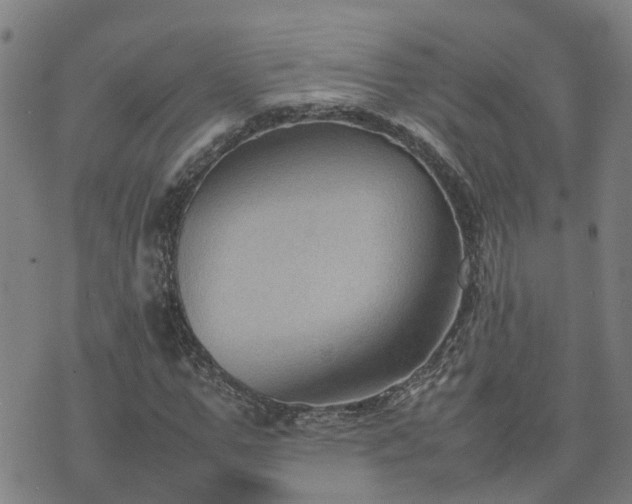 X0000074230967200609011238