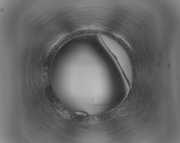 X0000074230968200609011238