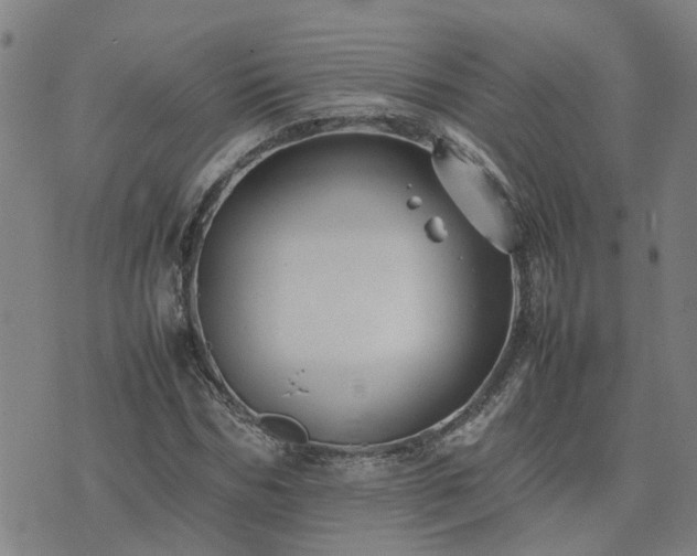 X0000074230970200609011238