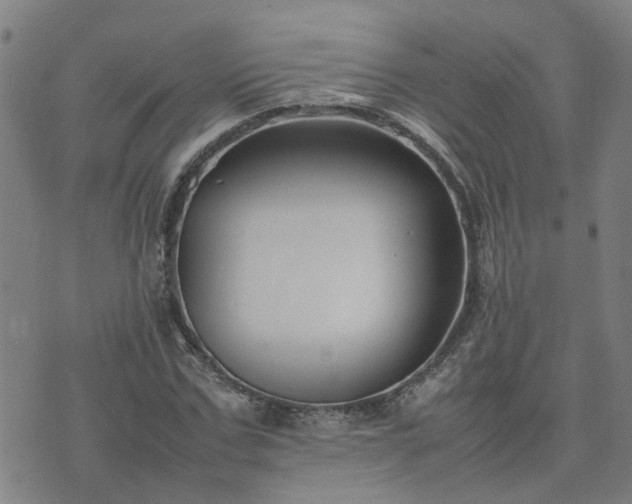 X0000074230971200609011237