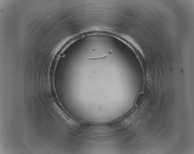 X0000074230972200609011237