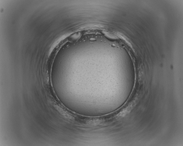 X0000074230973200609011237