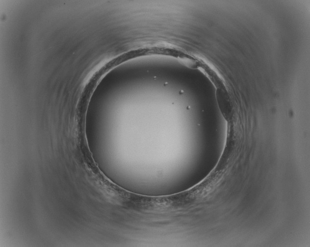 X0000074230975200609011237