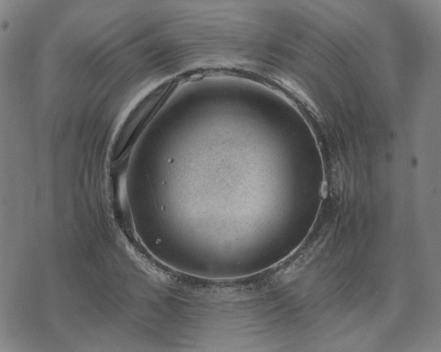 X0000074230976200609011237