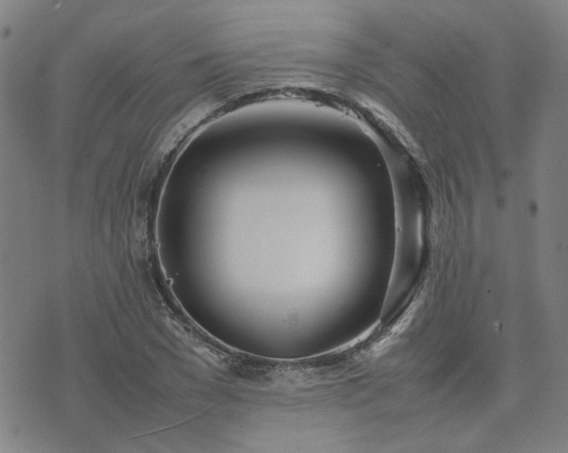 X0000074230977200609011237