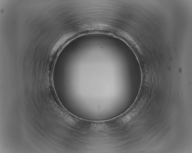 X0000074230978200609011237