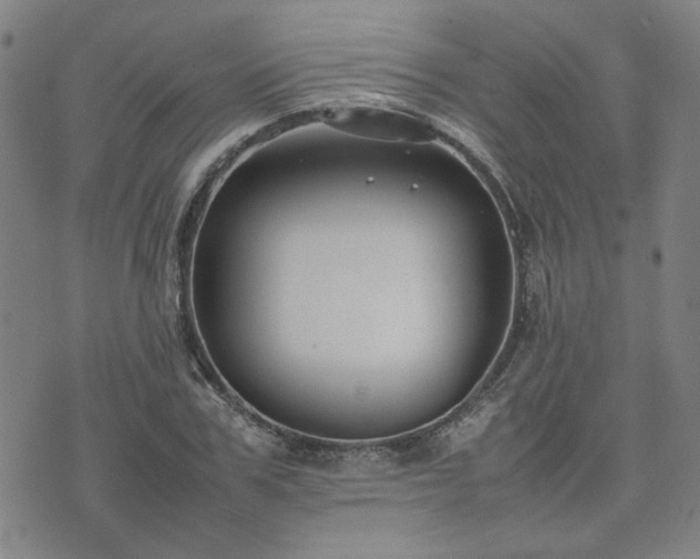 X0000074230979200609011237