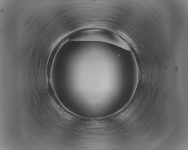 X0000074230980200609011237