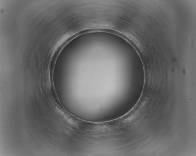 X0000074230982200609011237